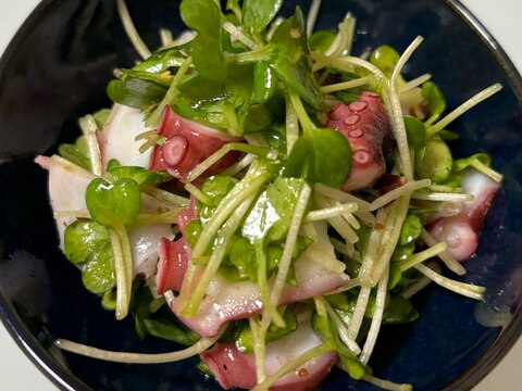 かいわれ大根とタコのマリネ♪